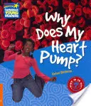 ¿Por qué bombea mi corazón? Libro de datos de nivel 6 - Why Does My Heart Pump? Level 6 Factbook
