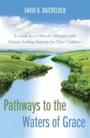 Caminos hacia las aguas de la gracia: Guía para el ministerio de una iglesia con padres que desean bautizar a sus hijos - Pathways to the Waters of Grace: A Guide for a Church's Ministry with Parents Seeking Baptism for Their Children