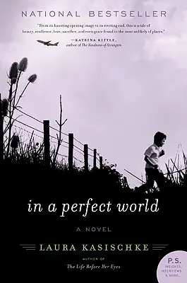 En un mundo perfecto - In a Perfect World