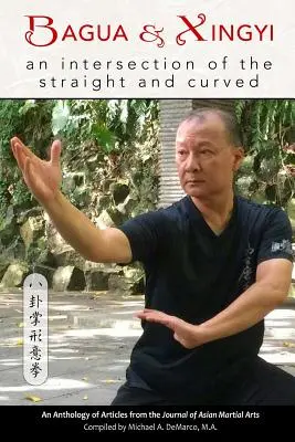 Bagua y Xingyi: una intersección de lo recto y lo curvo - Bagua and Xingyi: An Intersection of the Straight and Curved