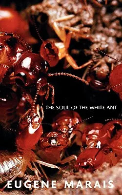 El alma de la hormiga blanca - The Soul of the White Ant