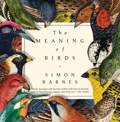 El significado de los pájaros - The Meaning of Birds