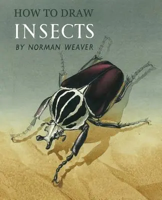 Cómo dibujar insectos (Reimpresión facsímil) - How to Draw Insects (Facsimile Reprint)