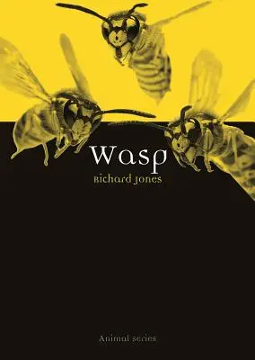 Avispa - Wasp