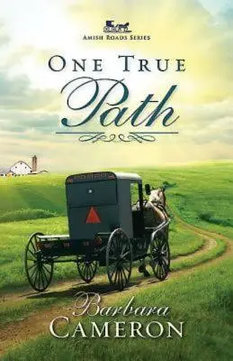 One True Path: Serie Caminos Amish - Libro 3 - One True Path: Amish Roads Series - Book 3