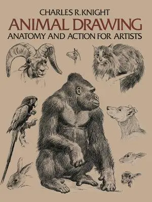 Dibujo de animales: Anatomía y acción para artistas - Animal Drawing: Anatomy and Action for Artists