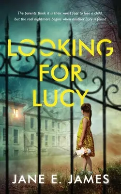 En busca de Lucy - Looking For Lucy