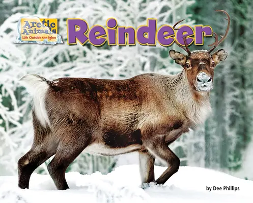 El reno - Reindeer