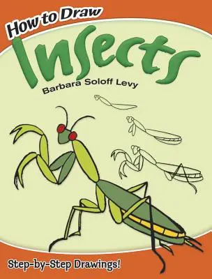 Cómo Dibujar Insectos - How to Draw Insects