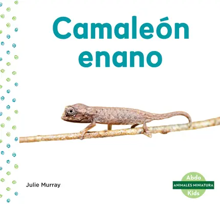 Camalen Enano (Camaleón Hoja) - Camalen Enano (Leaf Chameleon)