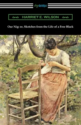 Our Nig: or, Sketches from the Life of a Free Black (Nuestro negro: o, Bocetos de la vida de un negro libre) - Our Nig: or, Sketches from the Life of a Free Black