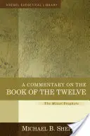 Comentario al Libro de los Doce: Los profetas menores - A Commentary on the Book of the Twelve: The Minor Prophets