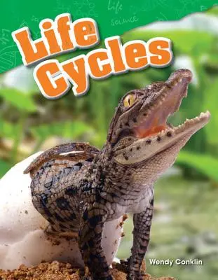 Ciclos vitales - Life Cycles