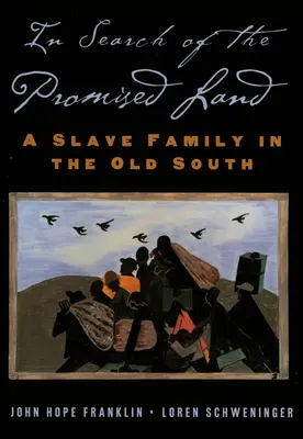 En busca de la tierra prometida: Una familia de esclavos en el viejo Sur - In Search of the Promised Land: A Slave Family in the Old South