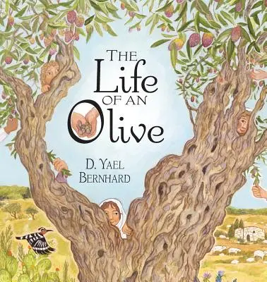 La vida de una aceituna - The Life of an Olive