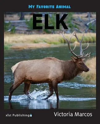 Mi animal favorito Alces - My Favorite Animal: Elk