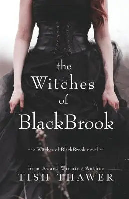 Las brujas de BlackBrook - The Witches of BlackBrook