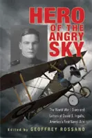 Hero of the Angry Sky: The World War I Diary and Letters of David S. Ingalls, America's First Naval Ace (Héroe del cielo furioso: diario y cartas de David S. Ingalls, primer as naval de Estados Unidos) - Hero of the Angry Sky: The World War I Diary and Letters of David S. Ingalls, America's First Naval Ace