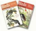 Las Aves de Ecuador: Conjunto de dos volúmenes - The Birds of Ecuador: Two-Volume Set