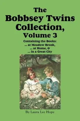 Colección Los gemelos Bobbsey, volumen 3: En Meadow Brook; En casa; En una gran ciudad - The Bobbsey Twins Collection, Volume 3: At Meadow Brook; At Home; In a Great City