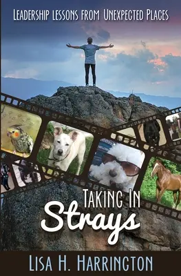 Taking In Strays: Lecciones de liderazgo desde lugares inesperados - Taking In Strays: Leadership Lessons From Unexpected Places