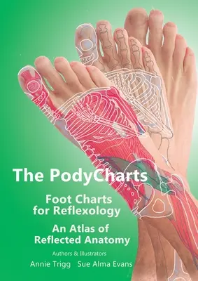 PodyCharts Foot Charts for Reflexology: Un atlas de anatomía refleja - The PodyCharts Foot Charts for Reflexology: An atlas of reflected anatomy