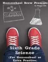 Ciencias de sexto grado: Para estudiar en casa o para practicar - Sixth Grade Science: For Homeschool or Extra Practice