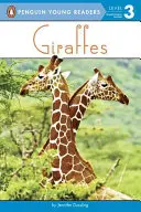 Jirafas - Giraffes