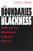 Los límites de la negritud: El sida y el desmoronamiento de la política negra - The Boundaries of Blackness: AIDS and the Breakdown of Black Politics