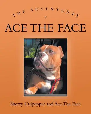 Las aventuras de As la Cara - The Adventures of Ace The Face