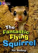 La fantástica ardilla voladora - The Fantastic Flying Squirrel