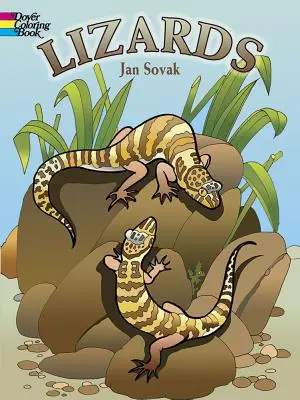 Libro para colorear de lagartos - Lizards Coloring Book