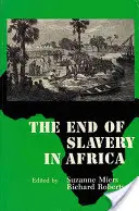 El fin de la esclavitud en África - The End of Slavery in Africa