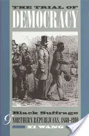 El juicio de la democracia: el sufragio negro y los republicanos del Norte, 1860-1910 - The Trial of Democracy: Black Suffrage and Northern Republicans, 1860-1910