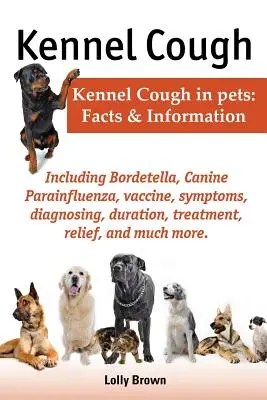 Tos de las perreras. Incluyendo Síntomas, Diagnóstico, Duración, Tratamiento, Alivio, Bordetella, Parainfluenza Canina, Vacuna y Mucho Más. Tos de las perreras en P - Kennel Cough. Including Symptoms, Diagnosing, Duration, Treatment, Relief, Bordetella, Canine Parainfluenza, Vaccine, and Much More. Kennel Cough in P
