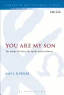 Tú eres mi hijo - You Are My Son