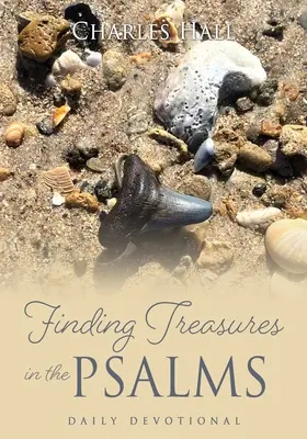 Encontrando tesoros en los Salmos: Devocionario diario - Finding Treasures in the Psalms: Daily Devotional