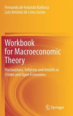 Cuaderno de trabajo de Teoría macroeconómica: Fluctuaciones, inflación y crecimiento en economías cerradas y abiertas - Workbook for Macroeconomic Theory: Fluctuations, Inflation and Growth in Closed and Open Economies