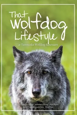 El estilo de vida de los perros lobo: en Yamnuska Wolfdog Sanctuary - That Wolfdog Lifestyle: at Yamnuska Wolfdog Sanctuary