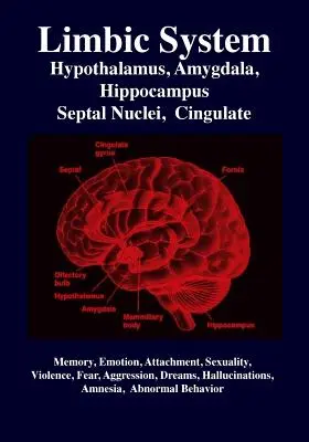 Sistema límbico: Amígdala, Hipotálamo, Núcleos septales, Cíngulo, Hipocampo: Emoción, memoria, lenguaje, desarrollo, evolución, amor - Limbic System: Amygdala, Hypothalamus, Septal Nuclei, Cingulate, Hippocampus: Emotion, Memory, Language, Development, Evolution, Love