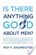 ¿Hay algo bueno en los hombres?: Cómo las culturas prosperan explotando a los hombres - Is There Anything Good about Men?: How Cultures Flourish by Exploiting Men