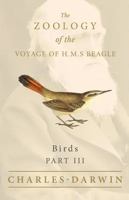 Aves - Parte III - Zoología del viaje del H.M.S Beagle - Birds - Part III - The Zoology of the Voyage of H.M.S Beagle