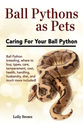 La pitón bola como mascota: cría de la pitón bola, dónde comprarla, tipos, cuidados, temperamento, coste, salud, manejo, cría, alimentación y mucho más i - Ball Pythons as Pets: Ball Python breeding, where to buy, types, care, temperament, cost, health, handling, husbandry, diet, and much more i