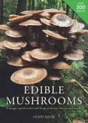 Setas comestibles: Guía del buscador de setas silvestres de Gran Bretaña, Irlanda y Europa - Edible Mushrooms: A Forager's Guide to the Wild Fungi of Britain, Ireland and Europe