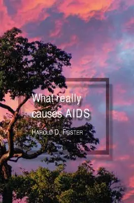 Las verdaderas causas del sida - What Really Causes Aids