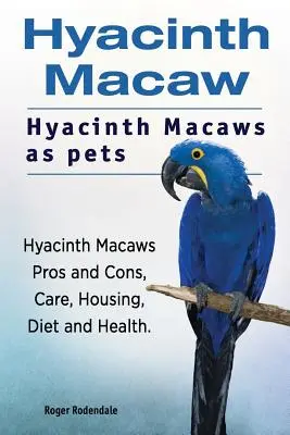 Guacamayo jacinto. El guacamayo jacinto como animal de compañía. Pros y contras de los guacamayos jacintos, cuidados, alojamiento, dieta y salud. - Hyacinth Macaw. Hyacinth Macaws as pets. Hyacinth Macaws Pros and Cons, Care, Housing, Diet and Health.