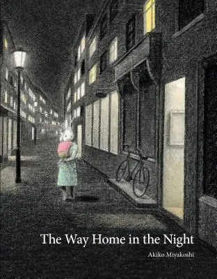 El camino a casa por la noche - The Way Home in the Night