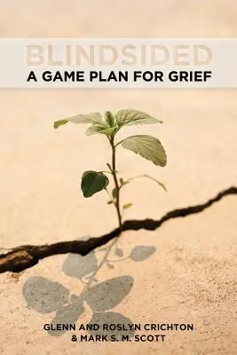 A ciegas: Un plan de juego para el duelo - Blindsided: A Game Plan for Grief