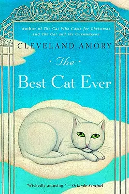 El mejor gato de la historia - The Best Cat Ever