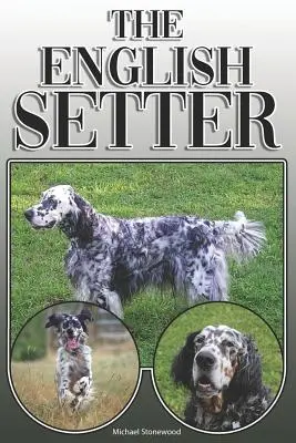 El Setter Inglés: A Complete and Comprehensive Owners Guide To: La compra, la propiedad, la salud, el aseo, el adiestramiento, la obediencia, la comprensión y la educación. - The English Setter: A Complete and Comprehensive Owners Guide To: Buying, Owning, Health, Grooming, Training, Obedience, Understanding and